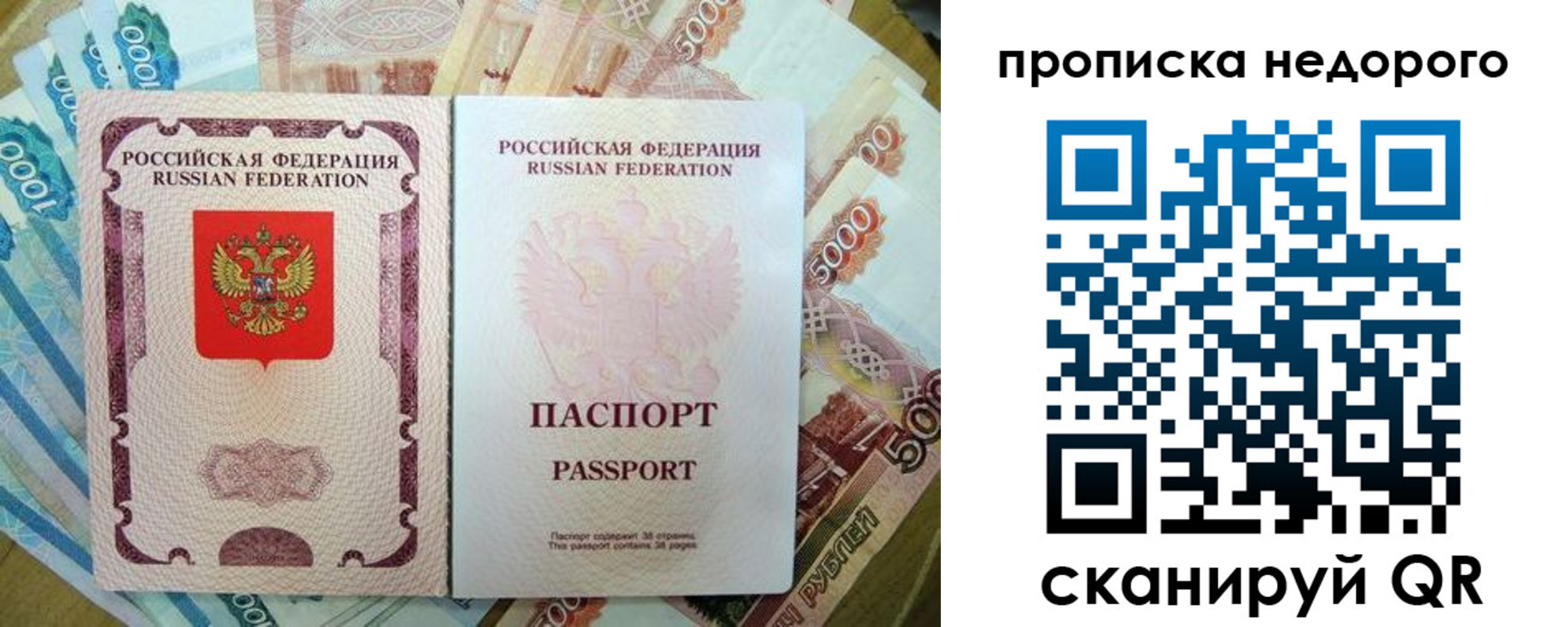 прописка поиск в Брянске